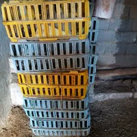 سلام سبد مرغ۸عدد فروشی