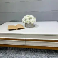 جلو مبلی عسلی شیک و خاص|مبلمان خانگی و میز عسلی|قم, شاه ابراهیم|دیوار