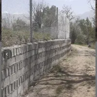 باغبان