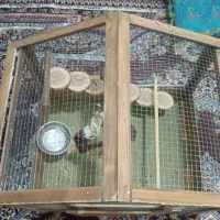 قفس چوبی با وسایل