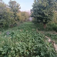 چندقطع-باغ-هزارمتری-هفصدمتری
