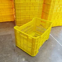 سبد صیفیجات ومرکبات|عمده‌فروشی|پاکدشت, پاکدشت (مامازند)|دیوار