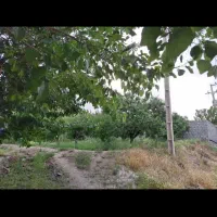 باغ درباغبهادران