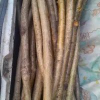 چوب ارزن چوب دست
