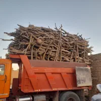 ذغال کبابی پسته