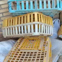 پرکن مرغ با وسایل|ماشینآلات صنعتی|سوسنگرد, |دیوار