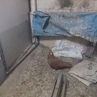 نروماده نردوبل ماده افشون ویک نرسرخ