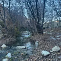 راهنمایی و شراکت