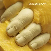 ساخت تندیس دست و پا ، قالب گیری حرفه ای|مجسمه، تندیس، ماکت|تهران, ونک|دیوار