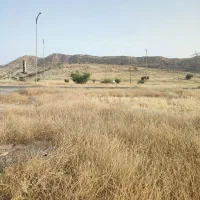 گچساران-کلاغ-نشین-سر-خیابان-اصلی