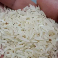برنج شمیم هاشمی و فجر|خوردنی و آشامیدنی|شیراز, جانبازان|دیوار