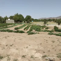۸۰۰مترزمین کشاورزی به همراه آب