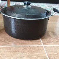 دیک سالم و نو برای پخت و پز