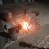 نیازمند چوپان متاهل و متعهد