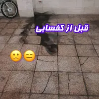 کف سابی کفسابی کفساب کف ساب سنگسابی سنگساب سابزن|خدمات نظافت|کرج, کمال‌شهر|دیوار