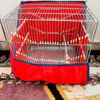 قفس|لوازم جانبی حیوانات|ایلام, |دیوار