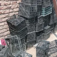سبد گوجه