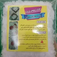 معجزه گر ریکا سیاه