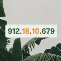 912.18.10.679