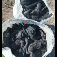 ذغال کبابی درجه یک