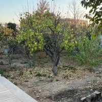 خانه باغ ویلالیی|فروش خانه و ویلا|ماهدشت, |دیوار