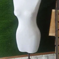 مانکن