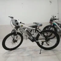 دوچرخه اکو چیاوا