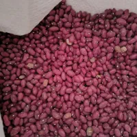 لوبیا چیتی لوبیا قرمز مال کاشت امسال|خوردنی و آشامیدنی|کمیجان, |دیوار