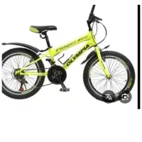 دوچرخه. پرسرعت خوش رکاب. ویوا