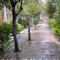نیروی سرآشپز برای رستوران|استخدام خدمات فروشگاه و رستوران|پاکدشت, پاکدشت (مامازند)|دیوار