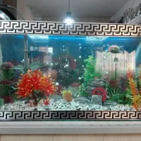 آکواریم خالی