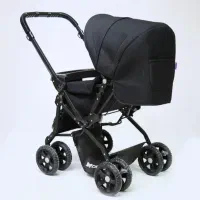 کالسکه دلیجان|کالسکه و لوازم جانبی|مهاباد (آذربایجان غربی), |دیوار