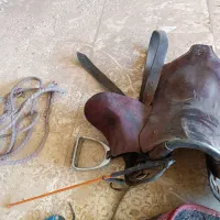 لوازم کامل سوارکاری|اسب و تجهیزات اسب‌سواری|میبد, |دیوار