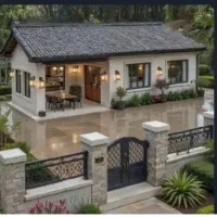 سیاه پلنگ گمشده