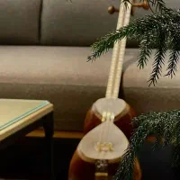 آموزش تخصصی تار و سهتار از مبتدی تا پیشرفته|خدمات آموزشی|اصفهان, خواجو|دیوار