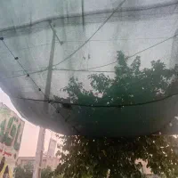 فروش صفر تا صد لوازم میوه فروشی