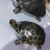 شکلات خوری