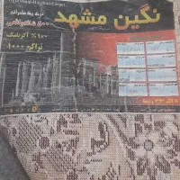 فرش وگلیم|فرش|مشهد, حجاب (شهرک غرب)|دیوار