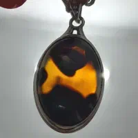 پلاک عقیق شجر مصور