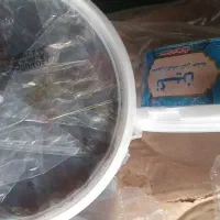 خرمای کبکاب وخاسویی و انواع حلوای شکری و ارده|خوردنی و آشامیدنی|پل سفید, |دیوار