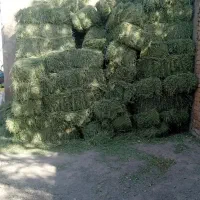 یونجه قالبی  وکوبیده  تمیز .فرسفج