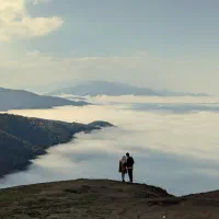 تور فیلبند