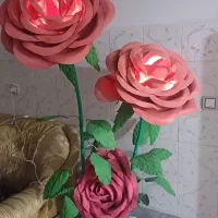 گل رُز  قرمز
