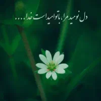 پرستاری وآشپزی خانم ۵۰ ساله هستم