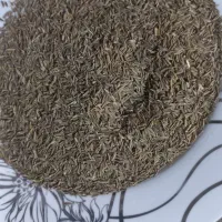 زیره سیاه کوهی