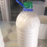 دوغ‌محلی‌ بانازلترین قیمت شهر