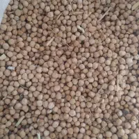 نخود بسیار خوشمزه  زود پخت سراب
