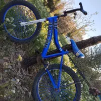 دوچرخه20 بدون دنده...