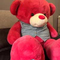 عروسک خرس|اسباب‌‌بازی|گرگان, |دیوار