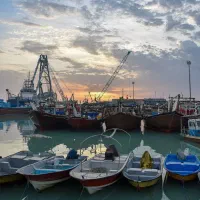 شکر خوزستان عمده